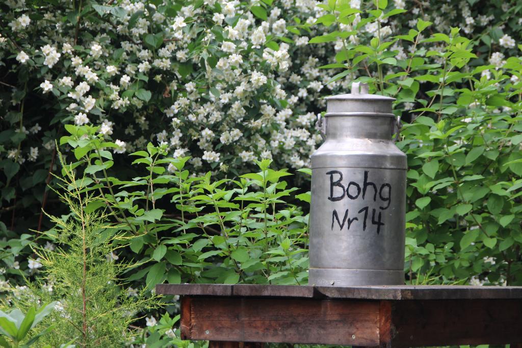 Ferienhof Bohg Burg (Spreewald) Exterior foto